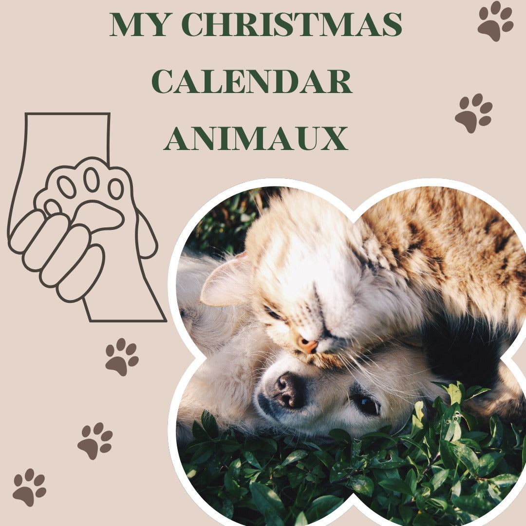 MY CHRISTMAS CALENDAR ANIMAUX