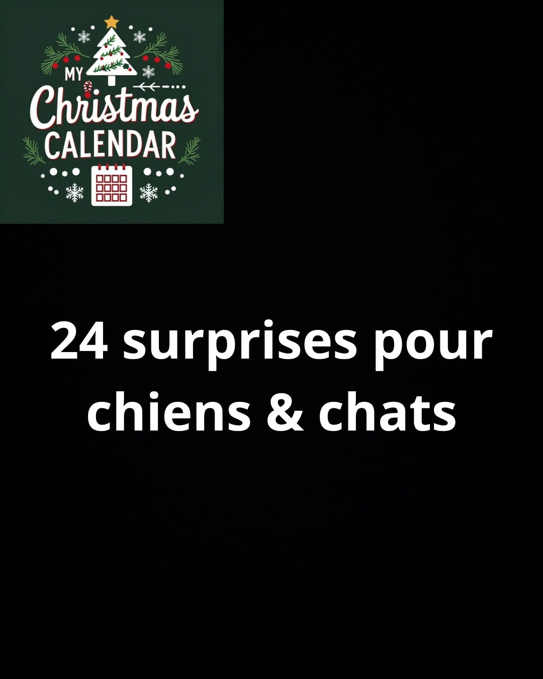 MY CHRISTMAS CALENDAR ANIMAUX