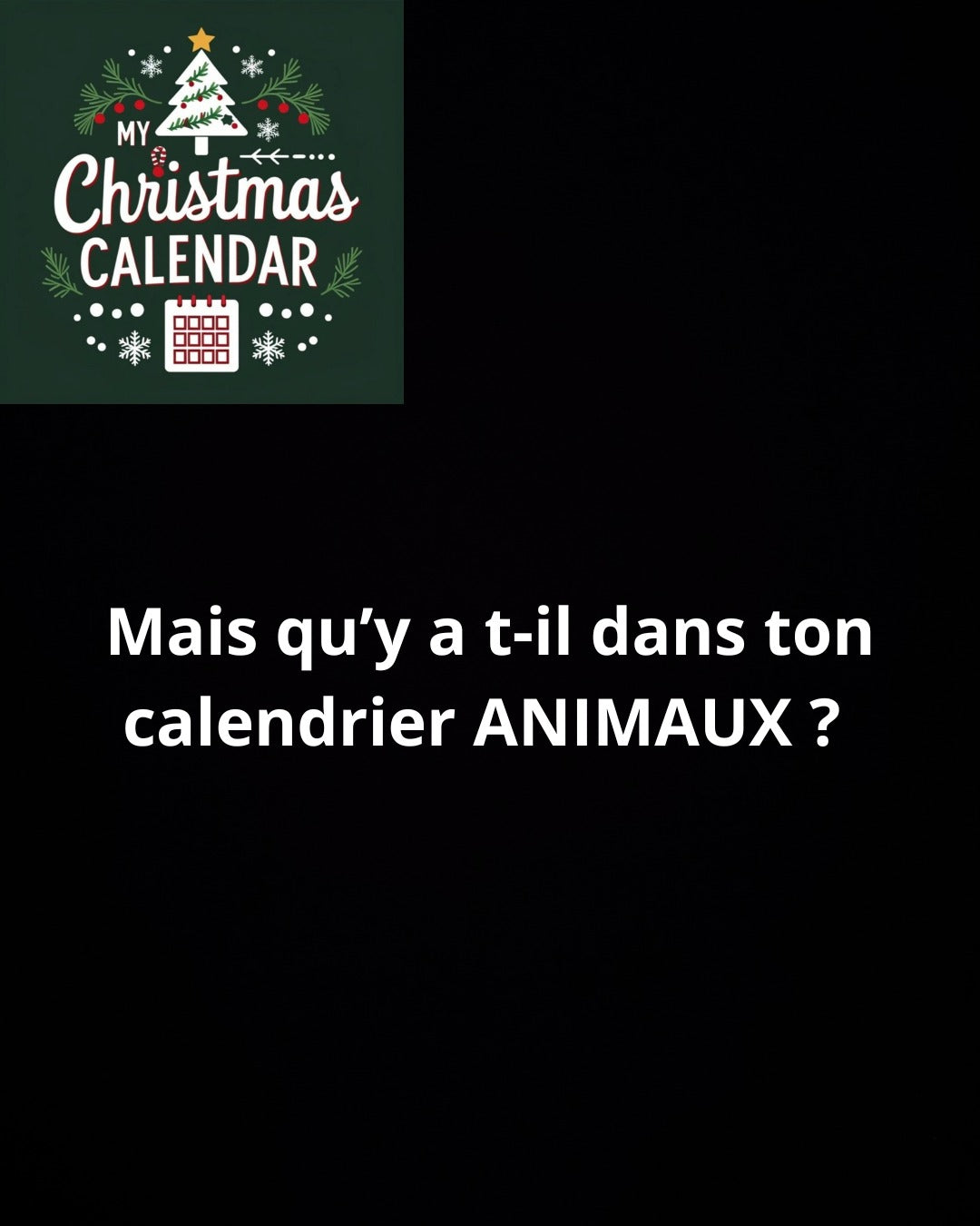 MY CHRISTMAS CALENDAR ANIMAUX